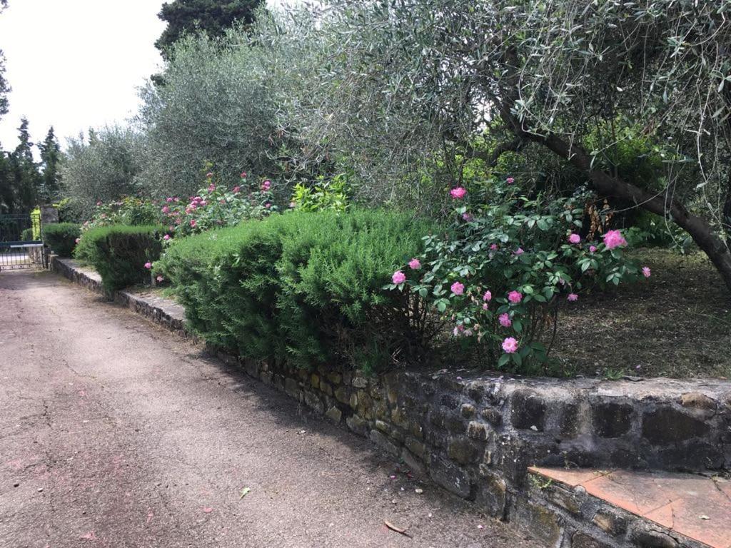 Al Canaiolo Strada in Chianti Екстер'єр фото